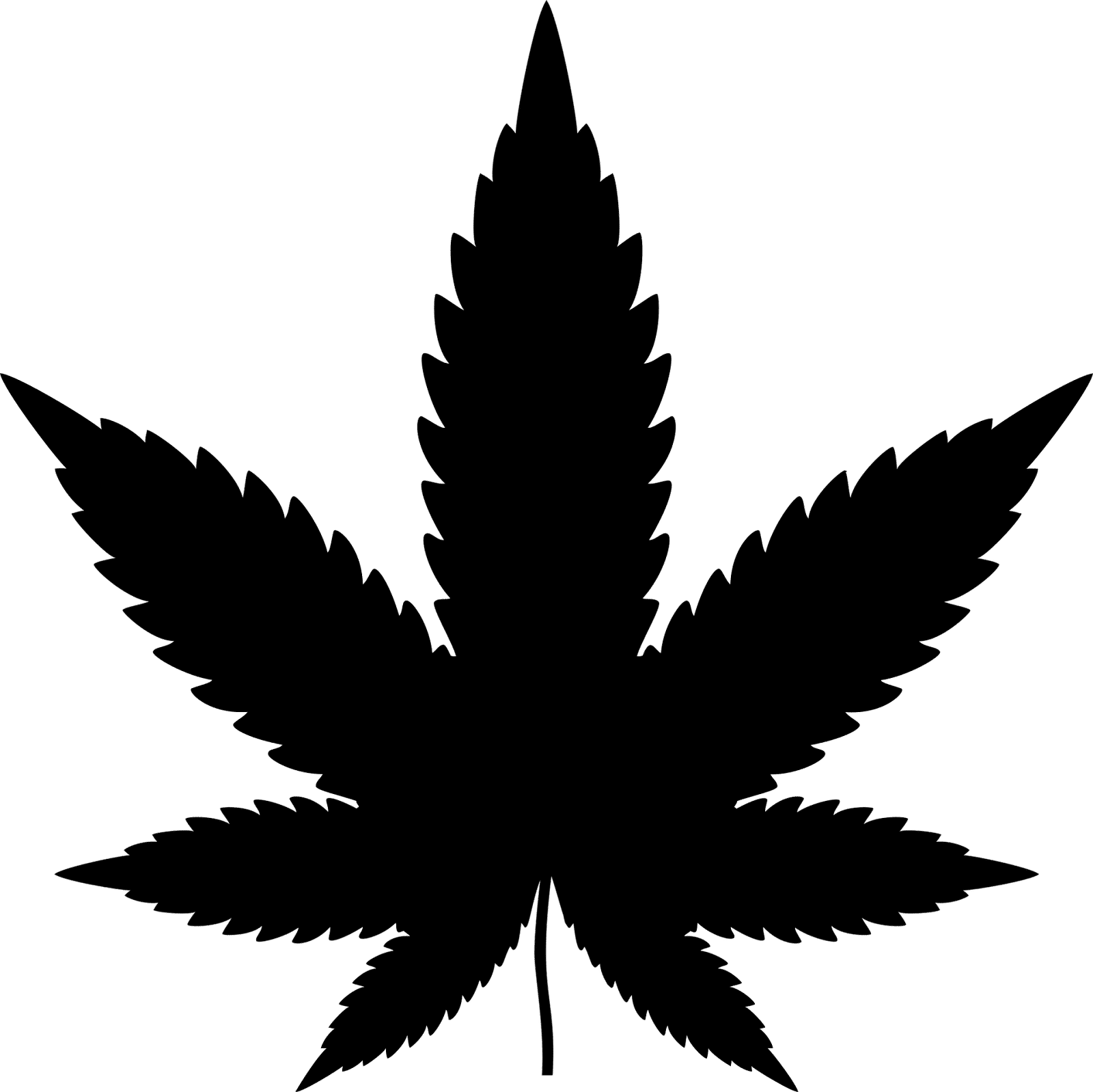 West Virginia Law Makers Have a Lot to Learn about Cannabis Black By God